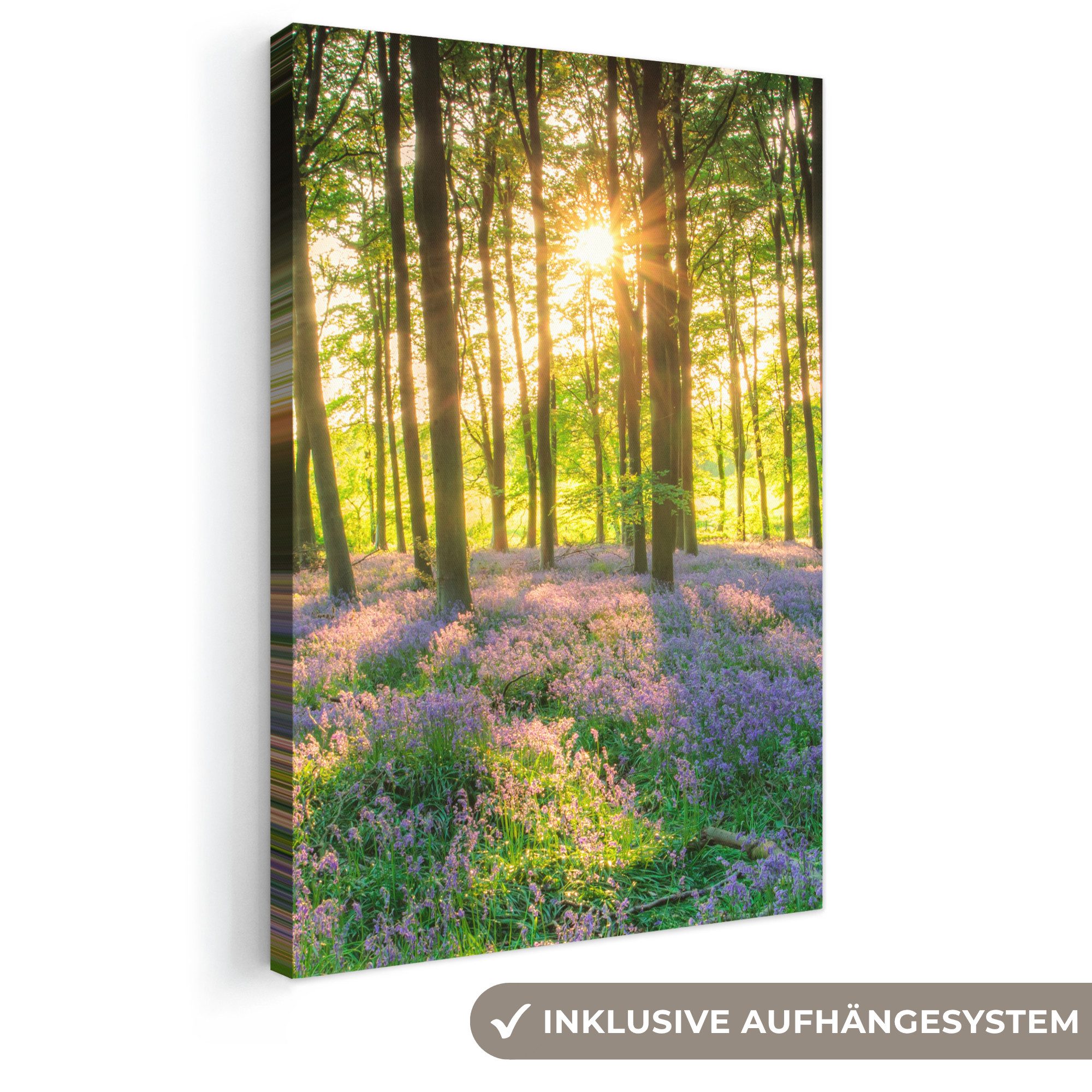 OneMillionCanvasses® Leinwandbild Frühling - Wald - Sonne, Fotodruck (1 St), Leinwand Canvas Wandbild, Wanddekoration 20x30 cm