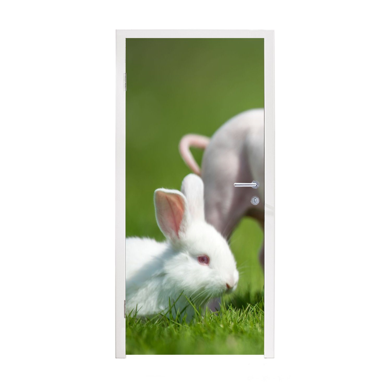 MuchoWow Türtapete Ferkel - Kaninchen - Tiere, Matt, bedruckt, (1 St), Fototapete für Tür, Türaufkleber, 75x205 cm