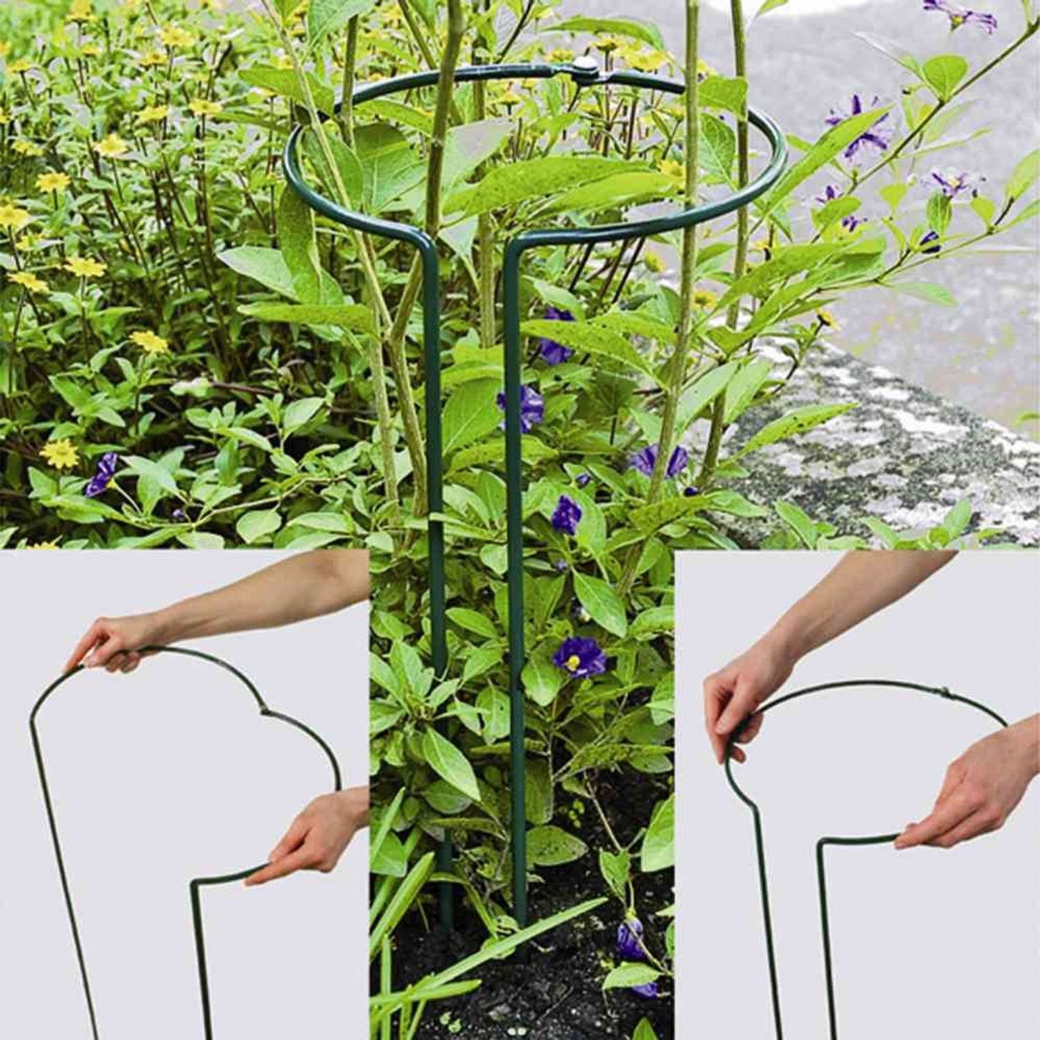 Siena Garden Rankhilfe Pflanzenstütze vollrund 55 cm verstellbar günstig online kaufen