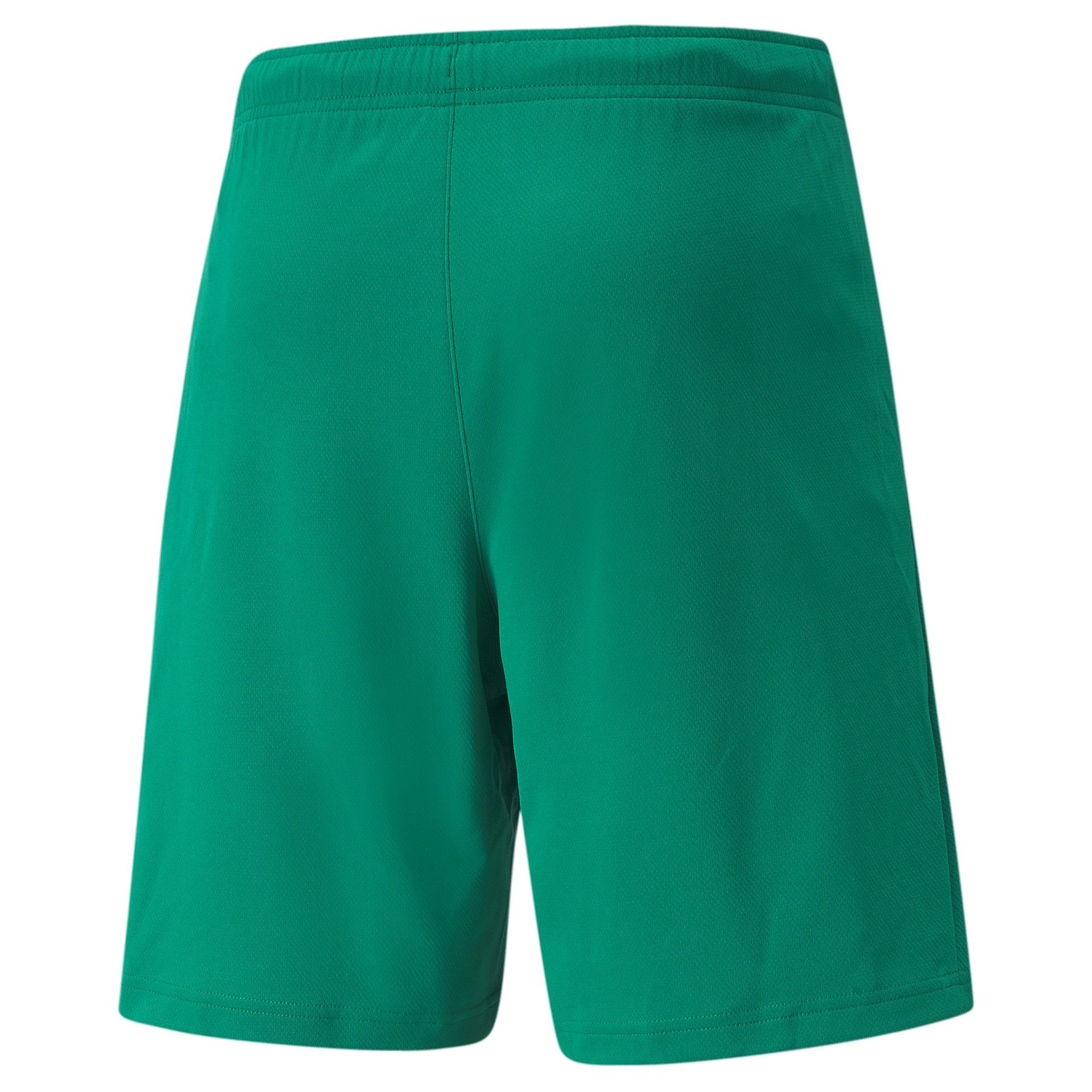 PUMA Trainingsshorts Puma Herren Shorts teamRISE günstig online kaufen