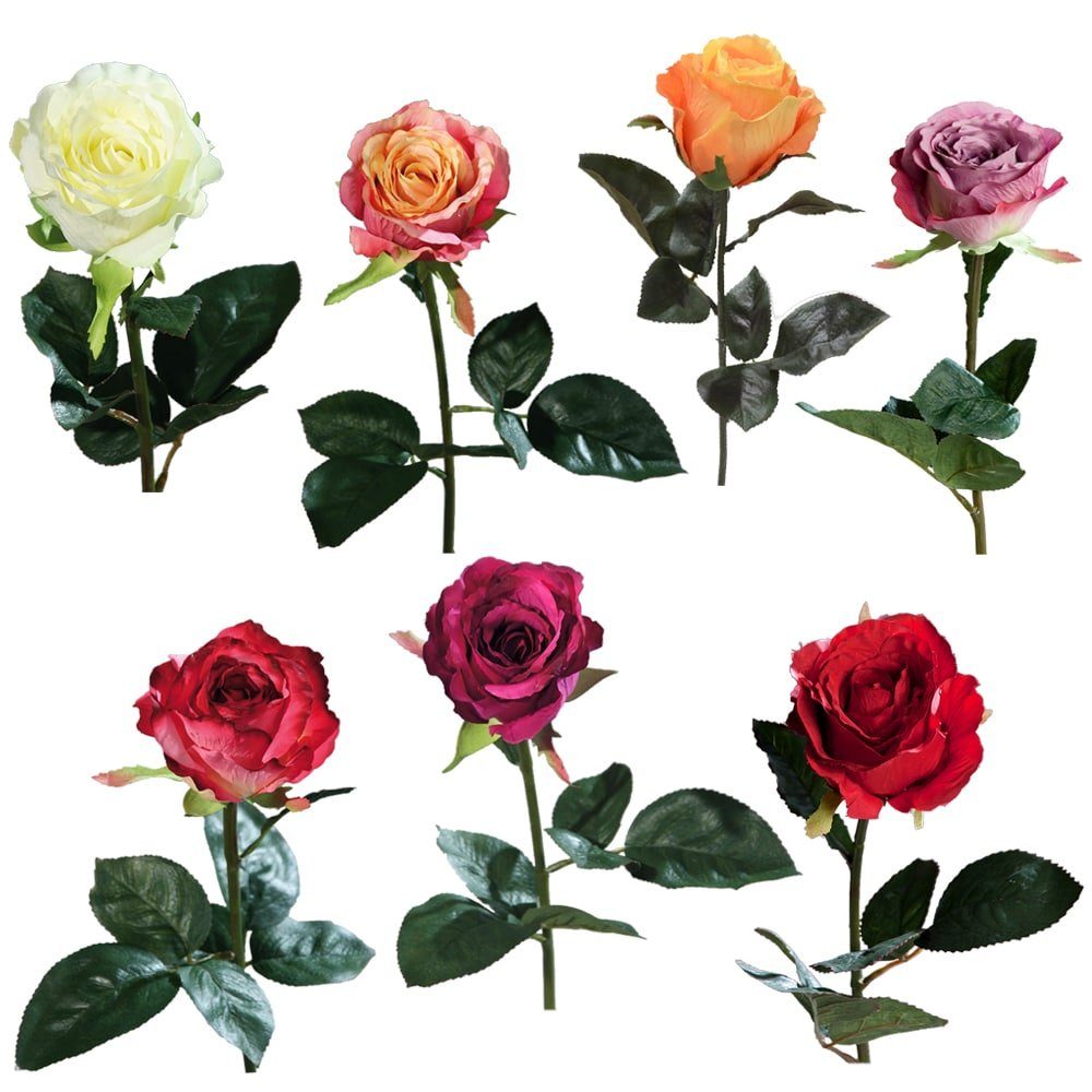 HOME Equador HOBBY, Stk Stielrose 51 Kunstpflanze Kunstblume dunkelrot Rose & 51 cm, 1 matches21 cm Höhe Rosen, Indoor