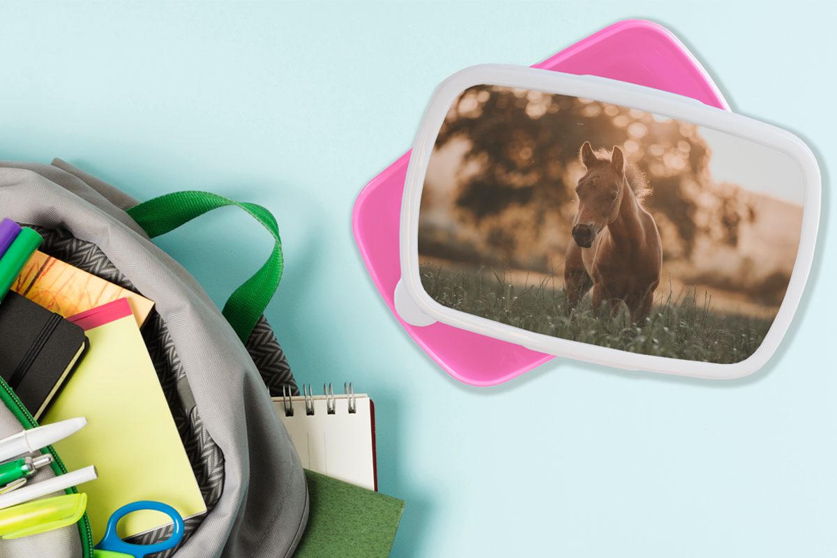 Kunststoff - für Pferd Licht - Mädchen, Lunchbox Kinder, Brotdose rosa Kunststoff, Brotbox Erwachsene, Snackbox, (2-tlg), Landschaft, MuchoWow