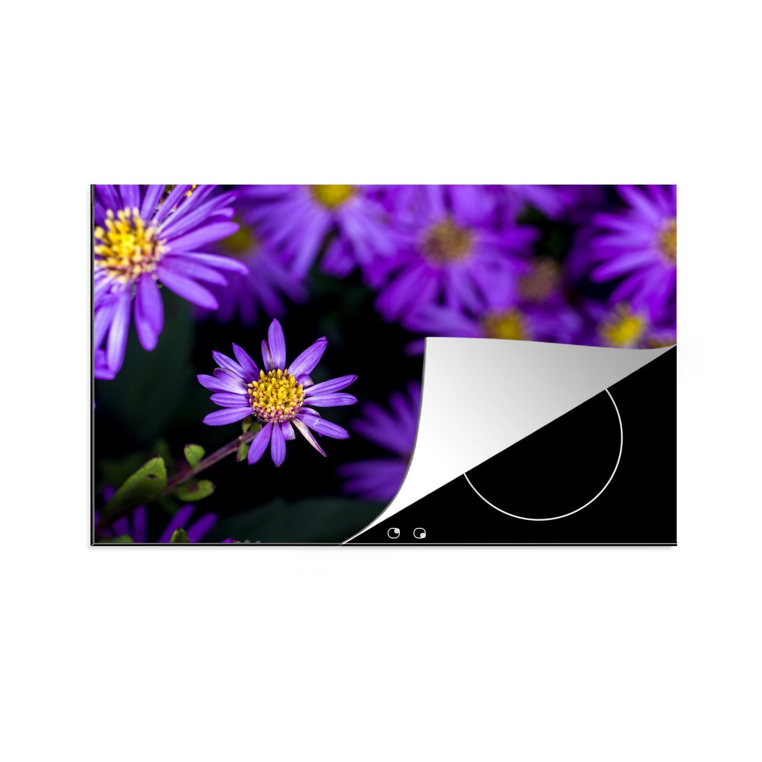 MuchoWow Herdblende-/Abdeckplatte Asterblüten mit schwarzem Hintergrund, Vinyl, (1 tlg), 81x52 cm, Induktionskochfeld Schutz für die küche, Ceranfeldabdeckung