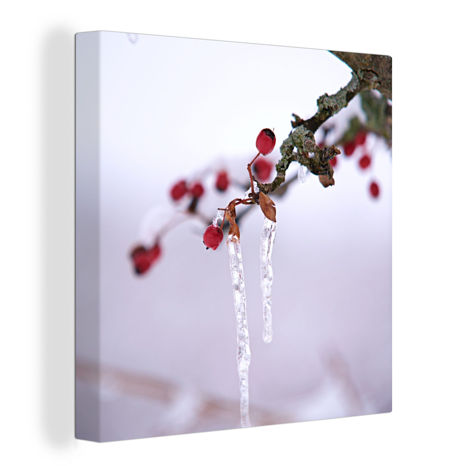 OneMillionCanvasses® Leinwandbild Beeren - Winter - Eiszapfen, (1 St), Leinwand Bilder für Wohnzimmer Schlafzimmer