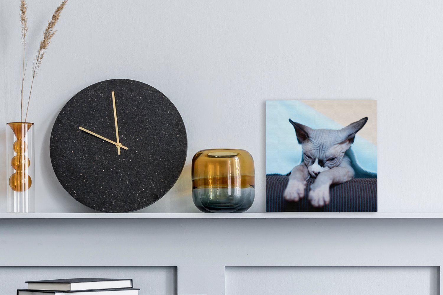 OneMillionCanvasses® Leinwandbild Eine schläfrige Sofa, (1 Sphynx-Katze auf dem Schlafzimmer St), Wohnzimmer Leinwand Bilder für