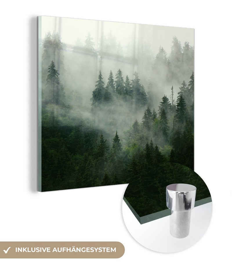 MuchoWow Acrylglasbild Wald - Nebel - Bäume - Natur, (1 St), Glasbilder - Bilder auf Glas Wandbild - Foto auf Glas - Wanddekoration