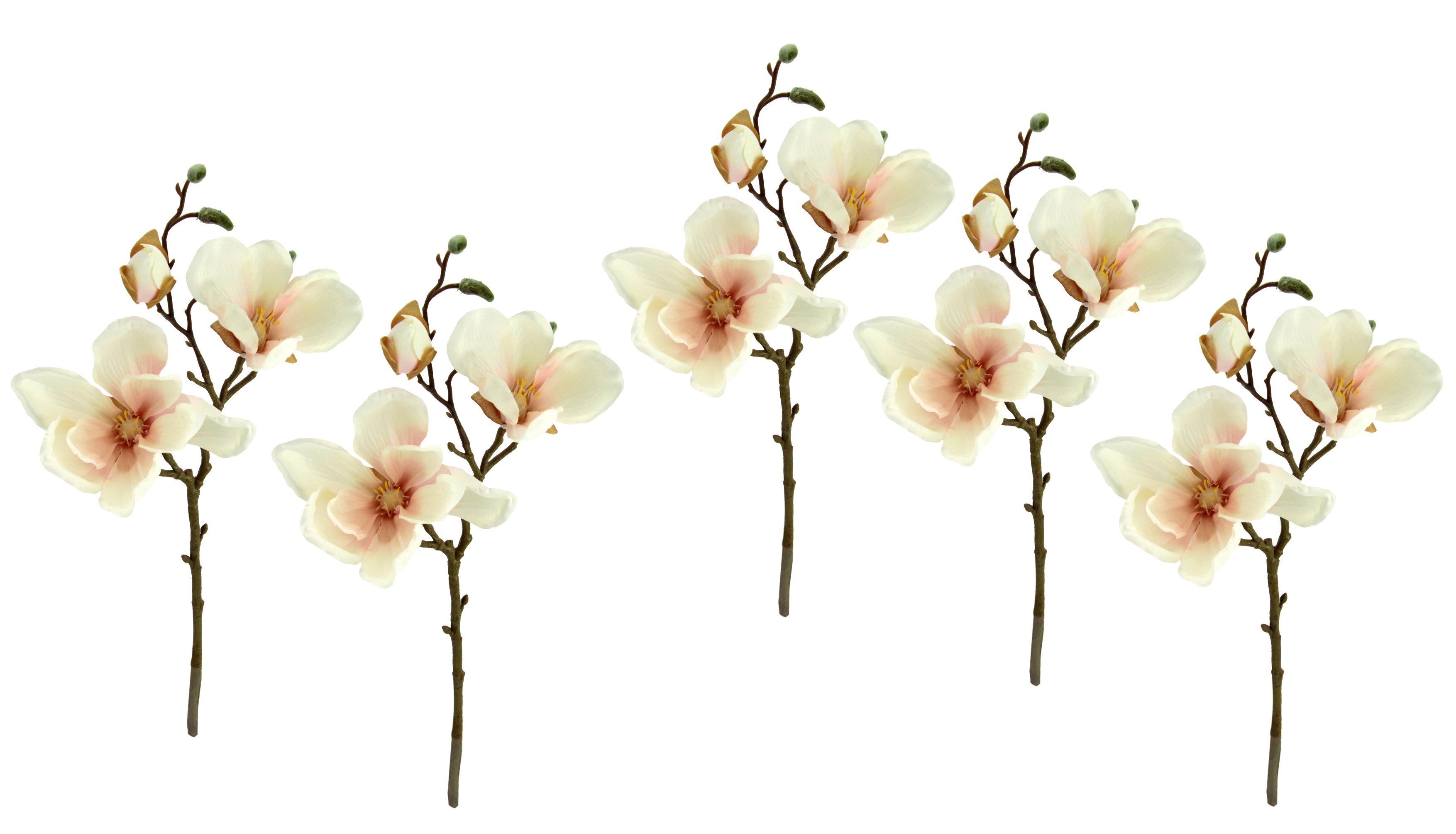 Kunstzweig Magnolienzweig künstlich, I.GE.A., Höhe 38 cm, 5er Set Kunstblum günstig online kaufen
