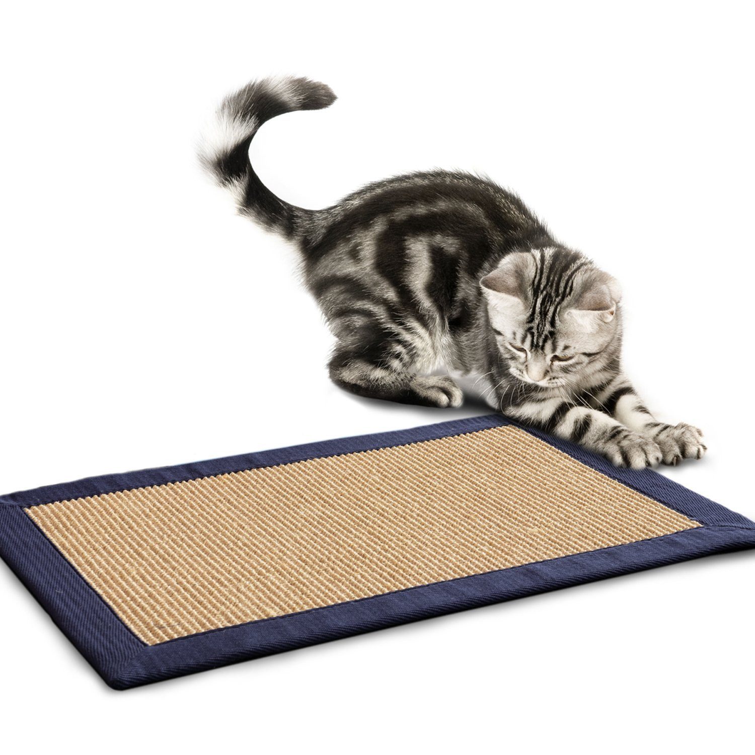 casa pura Kratzbrett Kratzteppich für Katzen, Erhältlich in 5 Farben, 2 Größen, verschiedene Bordürenfarben