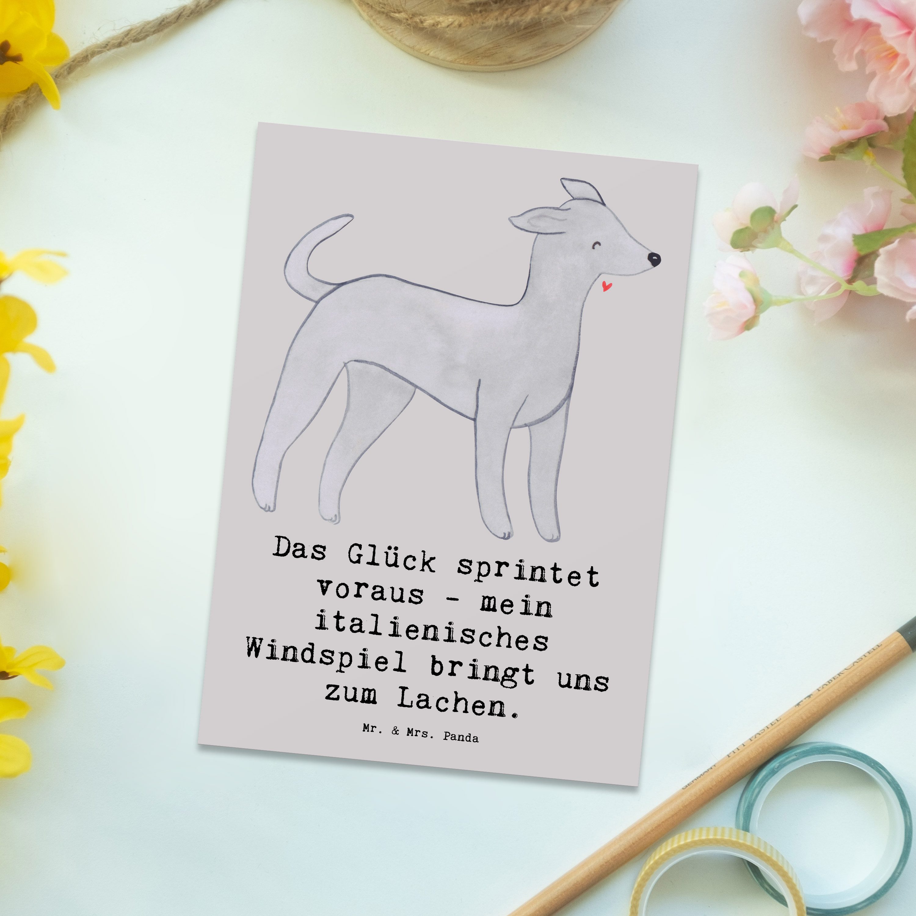 Thumbnail - Mr. & Mrs. Panda Postkarte Italienisches Windspiel Glück - Grau Pastell - Geschenk, Energie, Lac