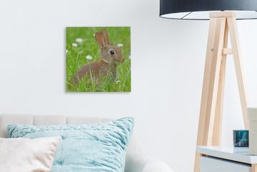OneMillionCanvasses® Leinwandbild Kaninchen - Blumen - Gras, (1 St), Leinwand Bilder für Wohnzimmer Schlafzimmer