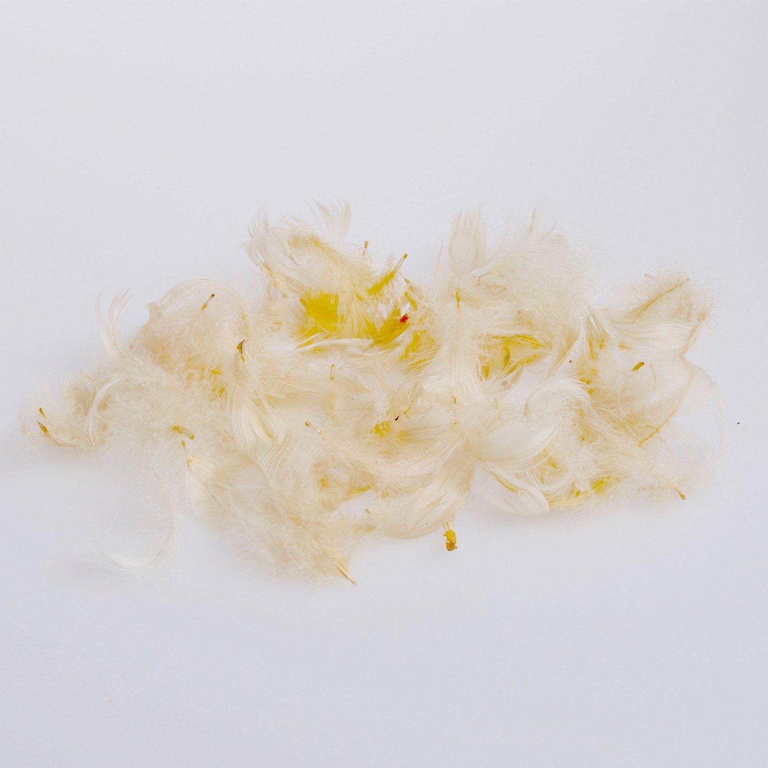 Deko AS Bastelfedern Babyfedern - Flaumfedern - creme - ca. 270 Stück - 1 VE = 1 Box mit 5
