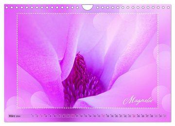 CALVENDO Wandkalender Blütenbouquet (Wandkalender 2024 DIN A4 quer), CALVENDO Monatskalender