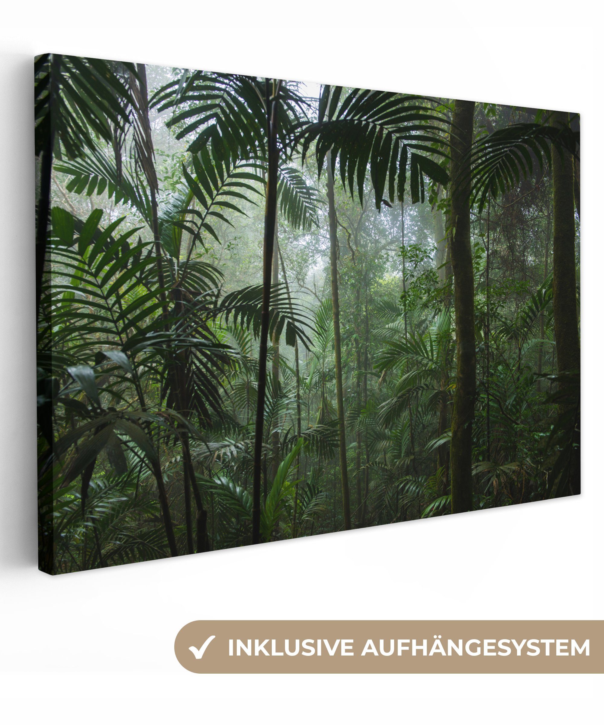 OneMillionCanvasses® Leinwandbild Regenwald - Tropisch - Dschungel - Bäume - Pflanzen, Fotodruck (1 St), Leinwand Bilder Klein, Wand Dekoration Aesthetic 30x20 cm