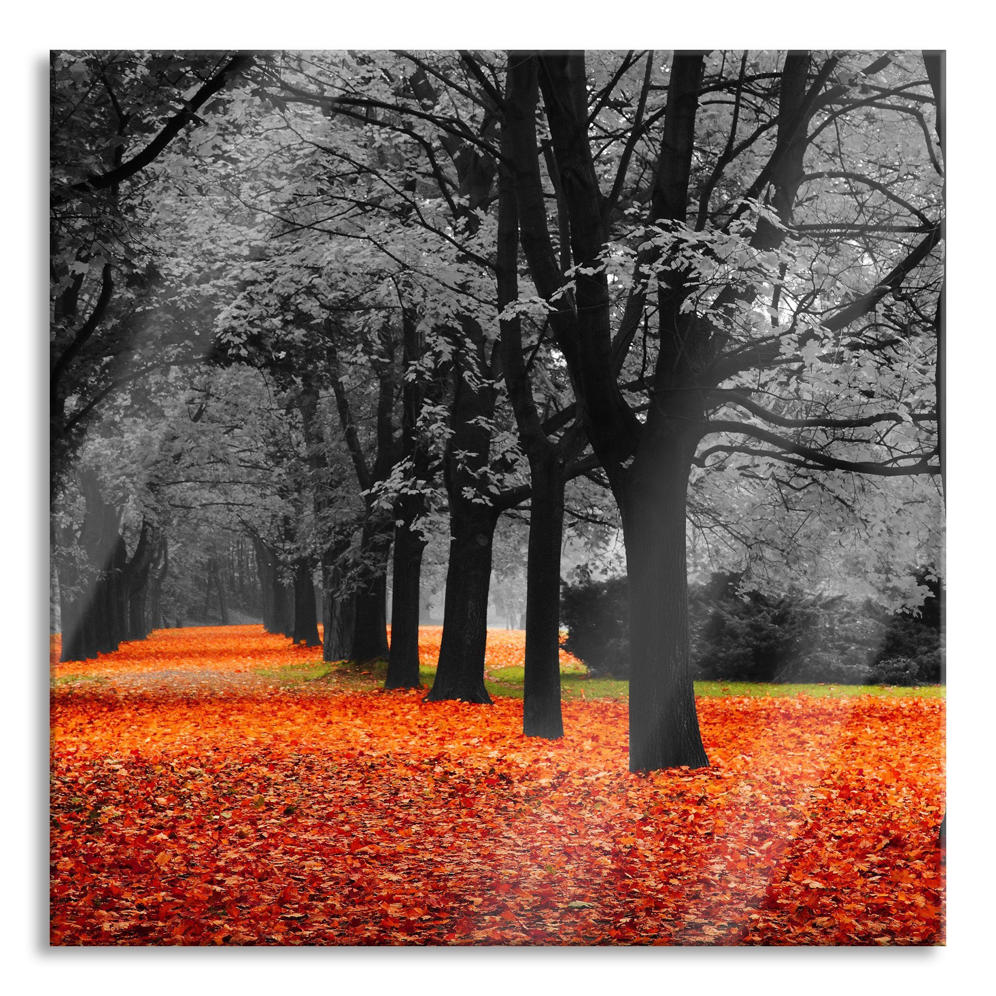 Pixxprint Glasbild schöner Waldweg im Herbst, schöner Waldweg im Herbst (1 St), Glasbild aus Echtglas, inkl. Aufhängungen und Abstandshalter