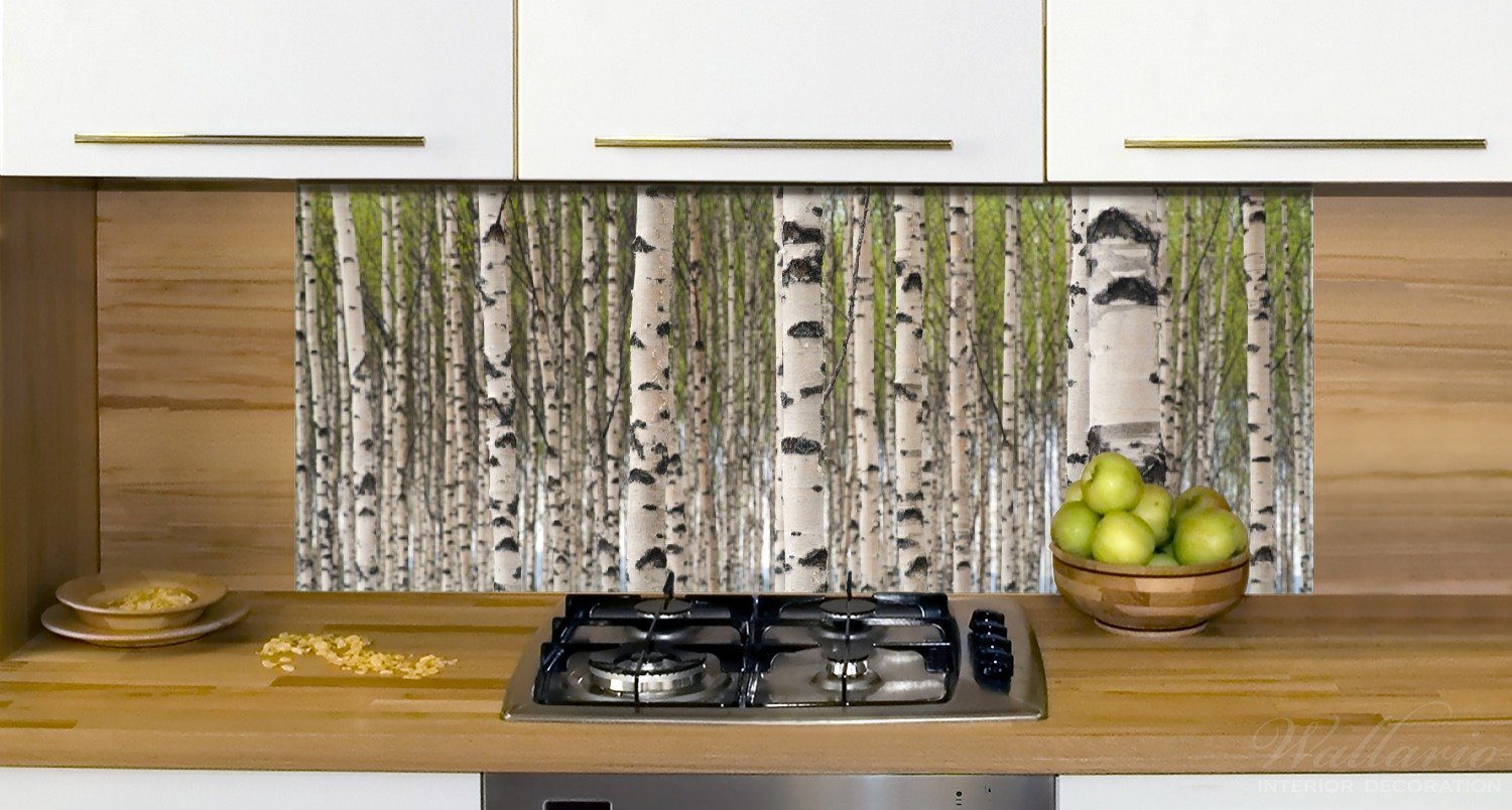 - (1-tlg) Küchenrückwand in schwarz weiß, Birkenwald Baumstämme Wallario