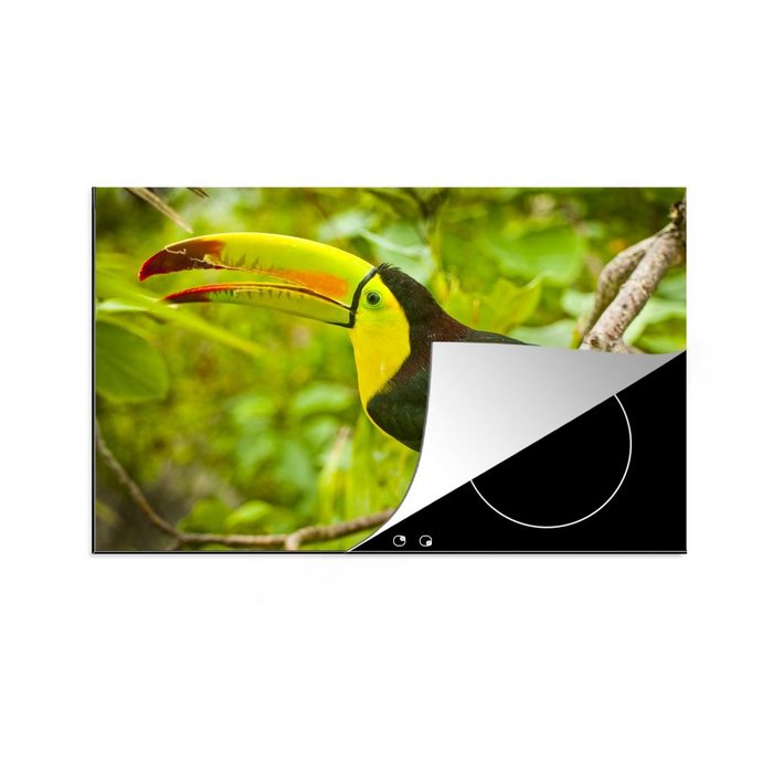 MuchoWow Herdblende-/Abdeckplatte Schwefelbrusttukan Vogel im Wald Vinyl (1 tlg) induktionskochfeld Schutz für die küche Ceranfeldabdeckung