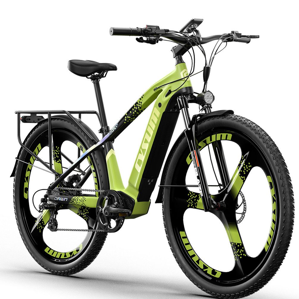 DOTMALL E-Bike E Bike 29*2.25 Zoll Cysum 500W 48V 14Ah Mountain/City bike