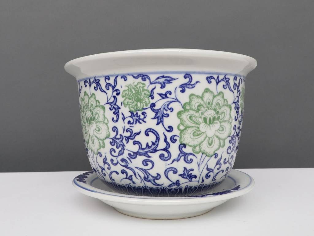 Yajutang Topfpflanze