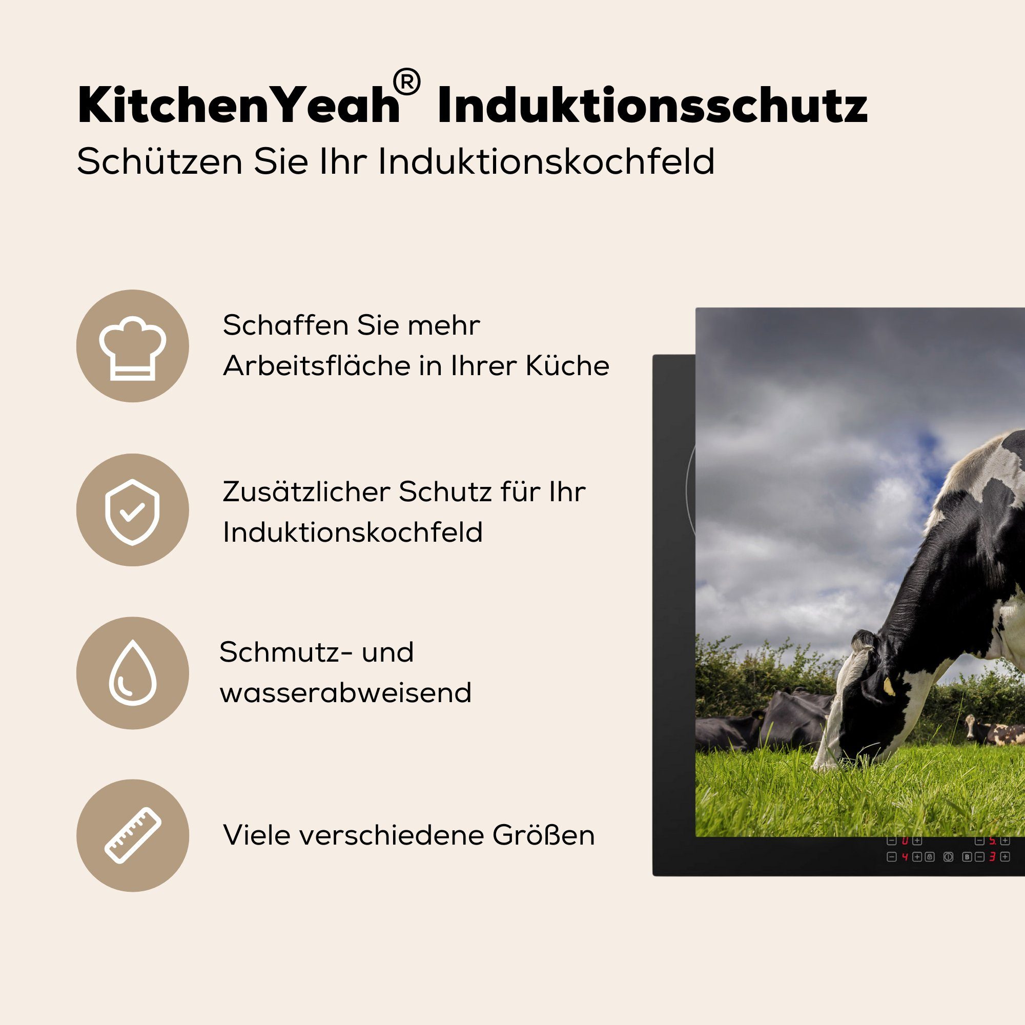 die - Induktionskochfeld Tiere, Vinyl, (1 Schutz cm, Herdblende-/Abdeckplatte - für Ceranfeldabdeckung Schwanz küche, Gras 71x52 Kuh MuchoWow tlg), -