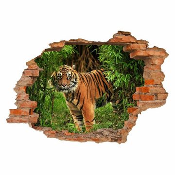 nikima Wandtattoo 030 Tiger - Loch in der Wand (PVC-Folie), in 6 vers. Größen