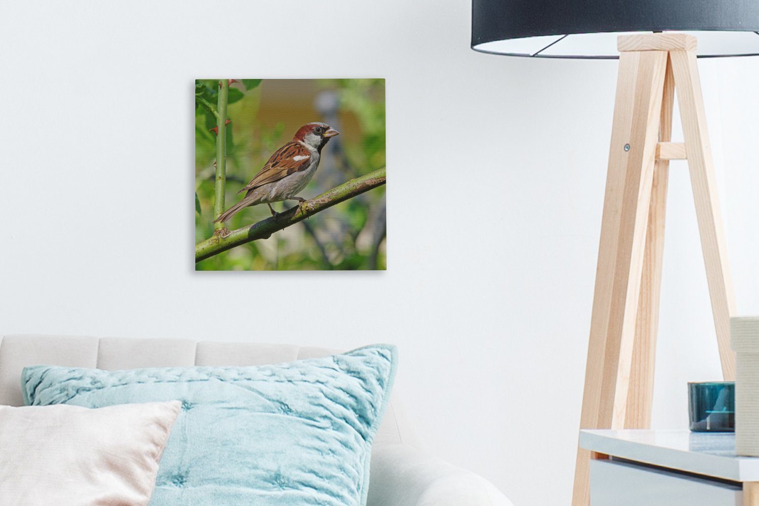 Leinwandbild Wohnzimmer kleinen, auf für grünen Haussperling einem Bilder Zweig, männlicher (1 Leinwand Ein St), sitzt OneMillionCanvasses® Schlafzimmer