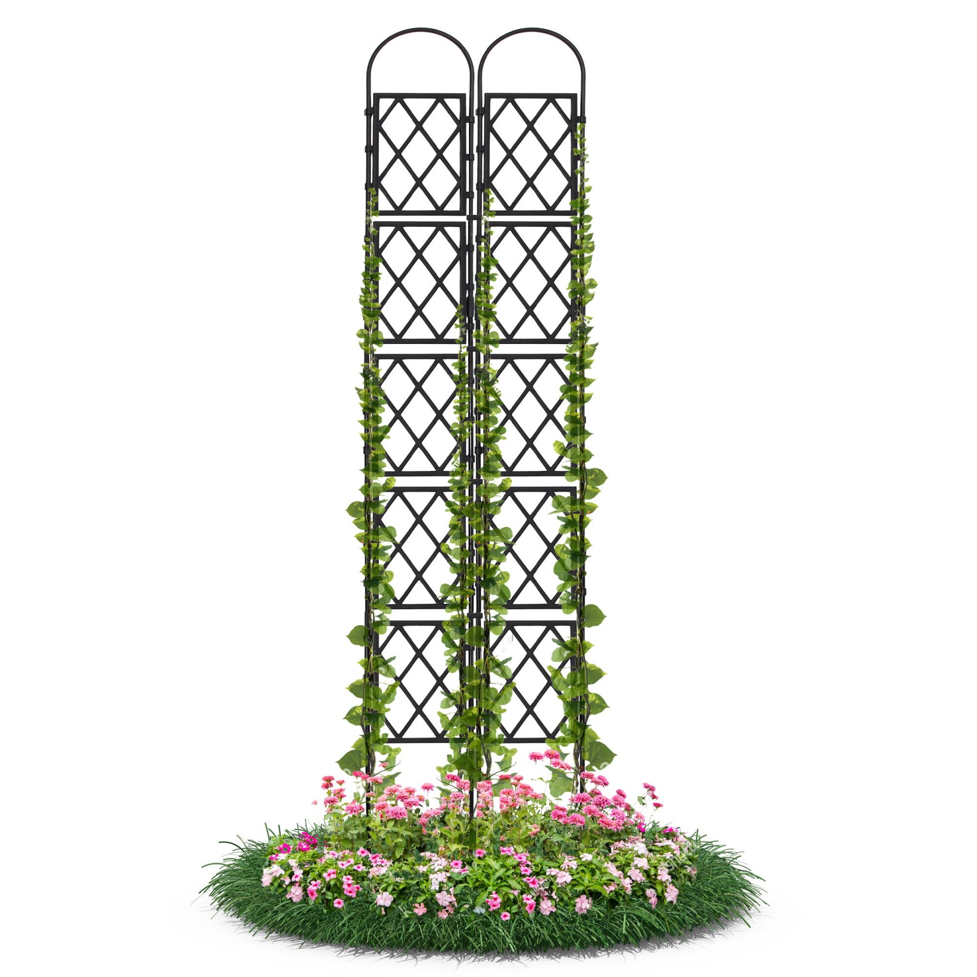Gartenwelt Riegelsberger Rankhilfe Wandspalier mit Bogen günstig online kaufen