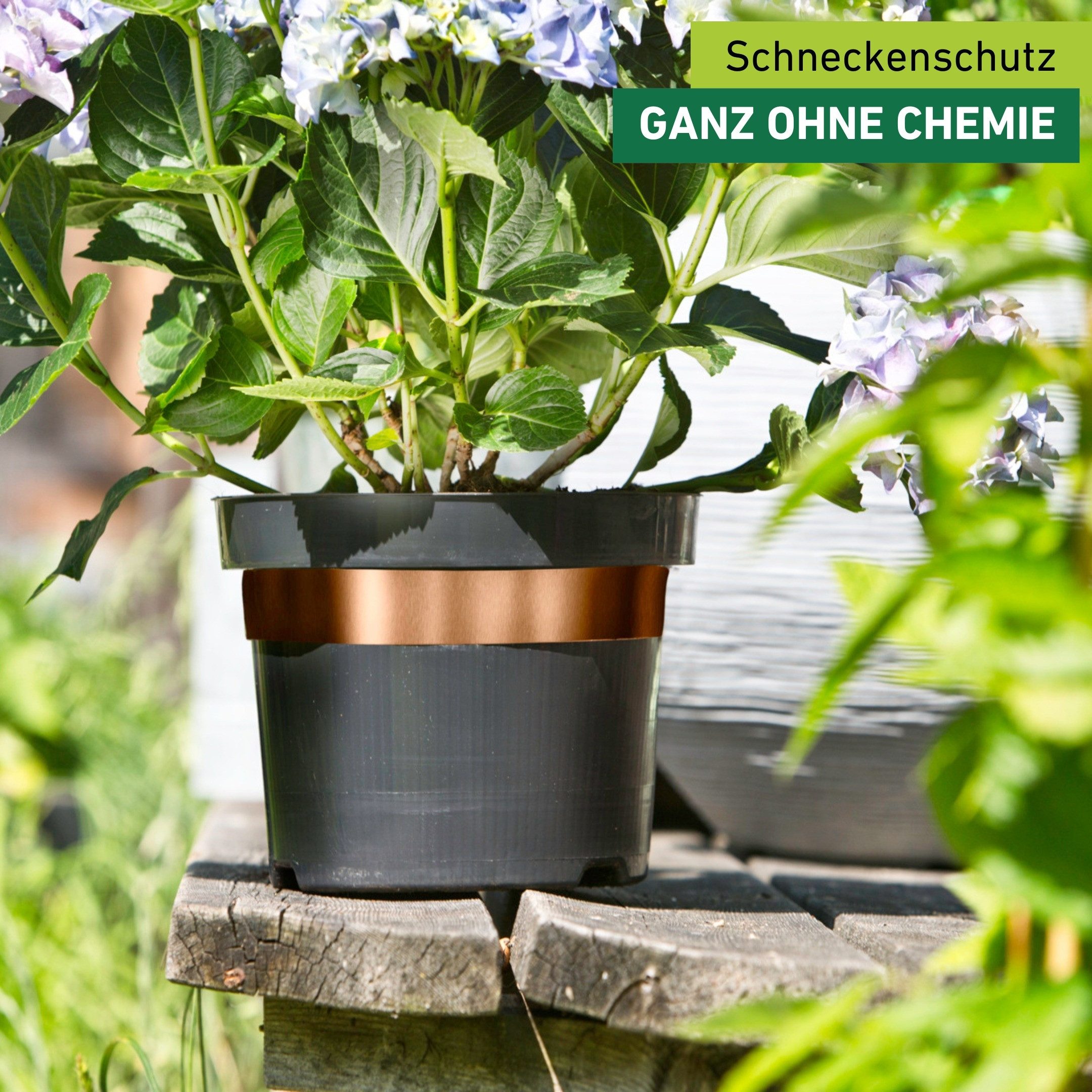 Windhager Schneckenkante aus Kupfer, Schnecken Abwehrband für Hochbeete und Pflanztöpfe, 500x3x0,01 cm, 1-St., Schneckenschutz Tape, erhältlich in 5 x 3 cm oder 5 cm x 6 m