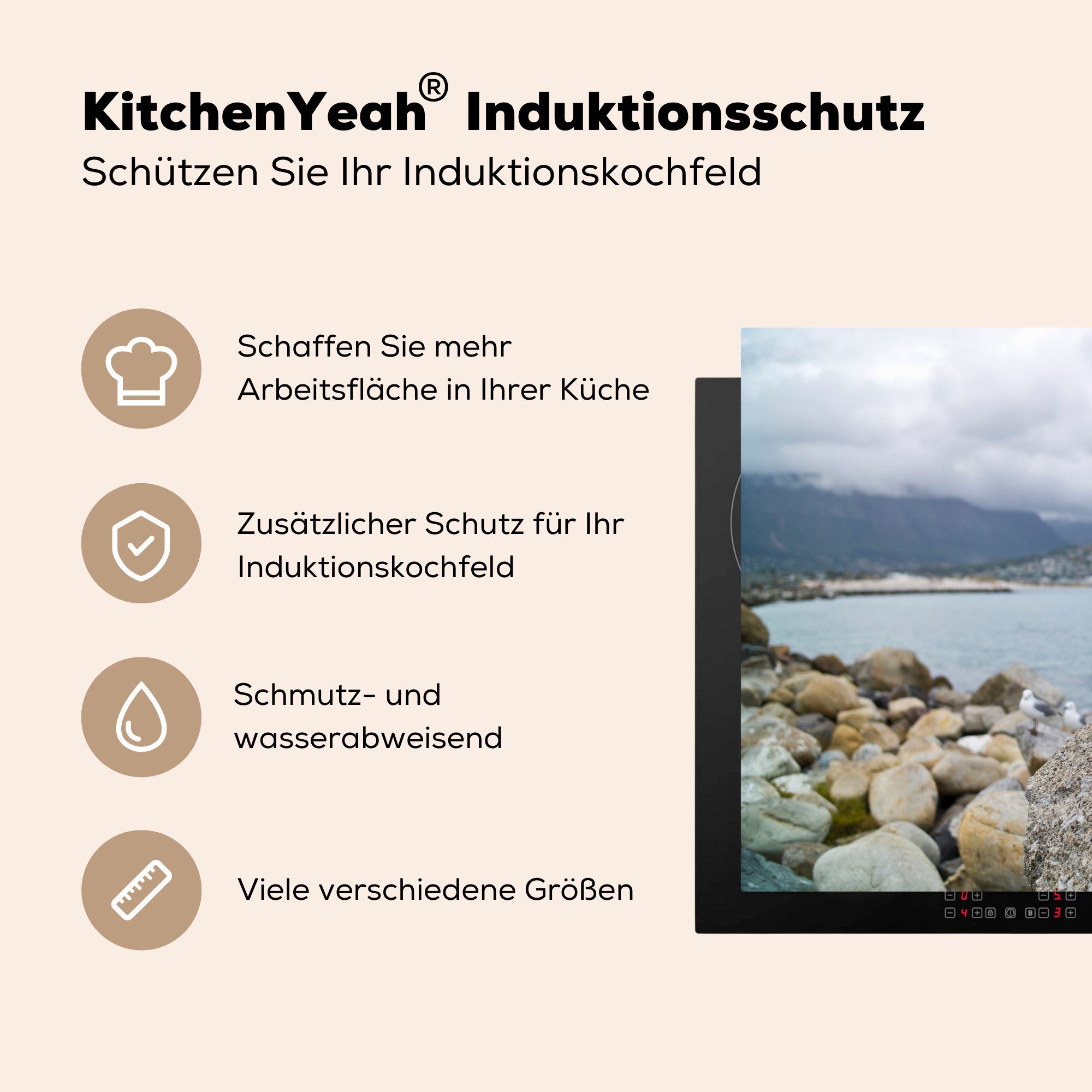 MuchoWow Herdblende-/Abdeckplatte Hartlaub-Möwen cm, Felsen einem 81x52 Vinyl, in Ceranfeldabdeckung (1 küche, Induktionskochfeld stehen Südafrika, tlg), Schutz die Wasser für am auf