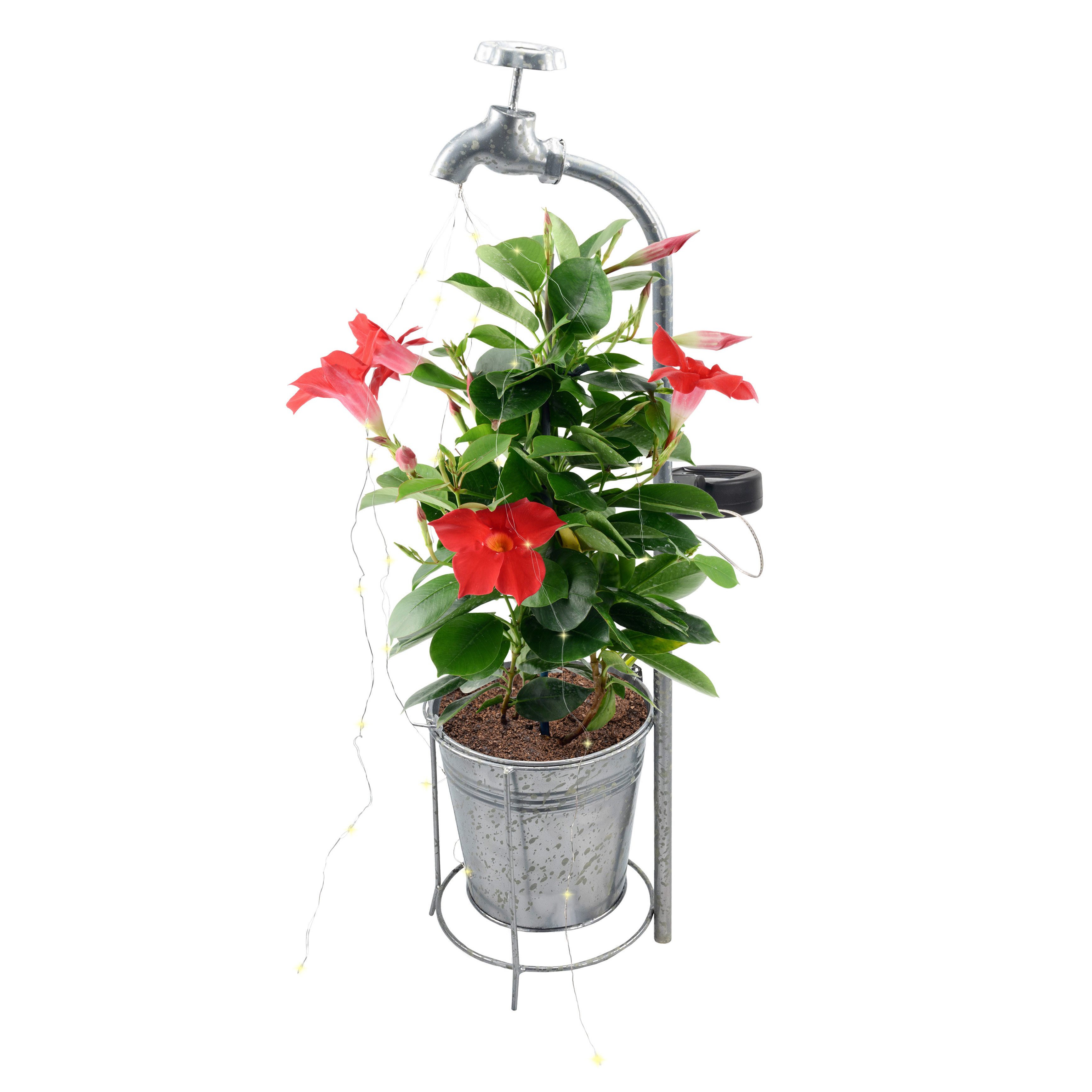 IC Gardenstyle LED-Dekofigur Solar Deko Wasserhahn günstig online kaufen