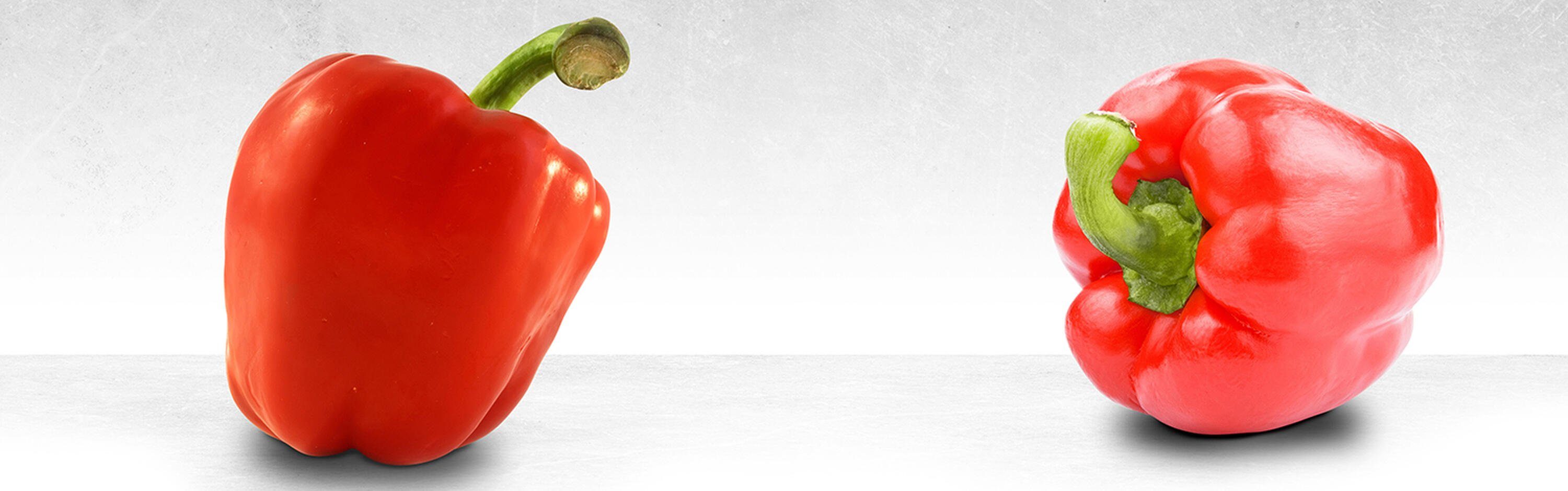 wandmotiv24 Küchenrückwand Rote Paprikas, (1-tlg), Größen Premium in Hartschaum versch. Nischenrückwand