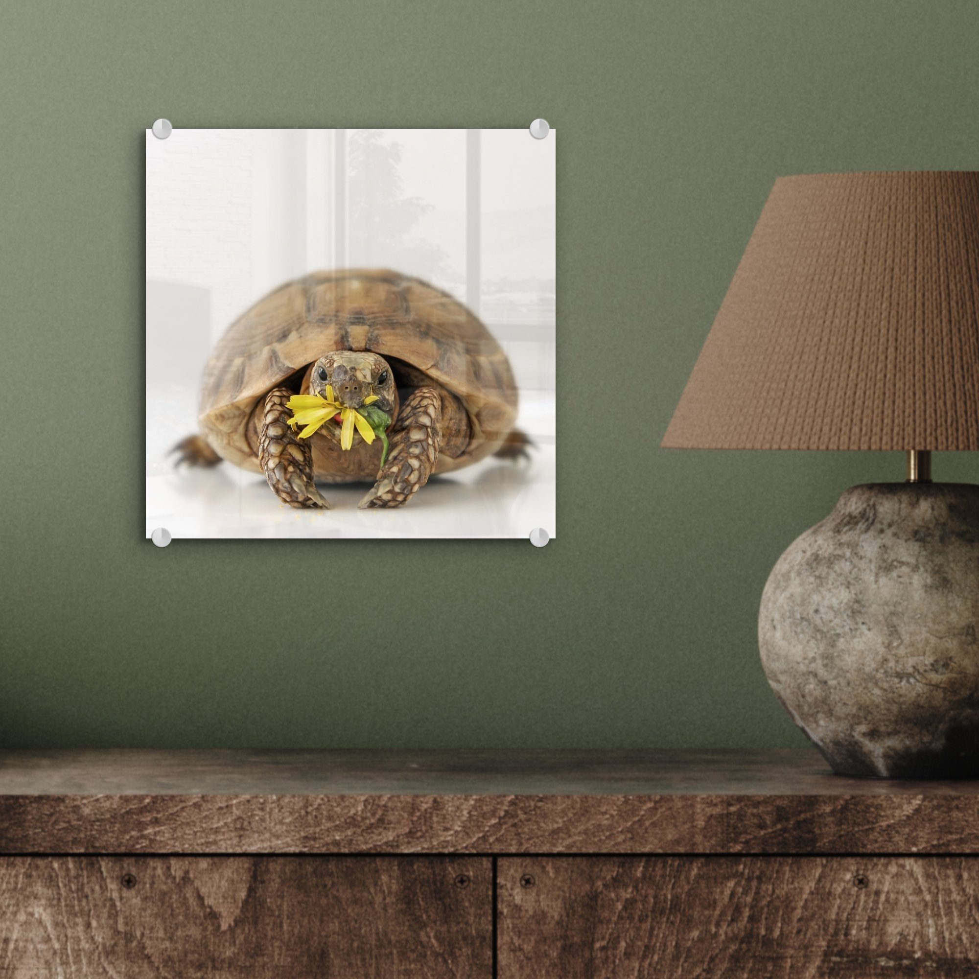 Wanddekoration Schildkröte auf weißen MuchoWow Glas vor isst Wandbild auf Glas St), - einem - Acrylglasbild Hintergrund, Foto Glasbilder Blume (1 Bilder - hellen