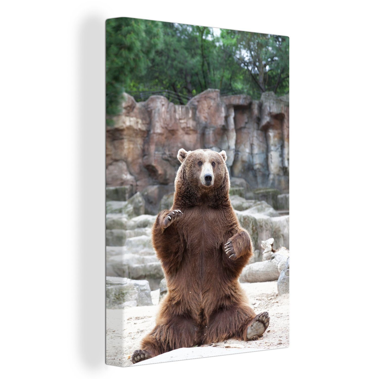 OneMillionCanvasses® Leinwandbild Grizzlybär - Tiere 20x30 - St), inkl. Gemälde, fertig bespannt (1 Zackenaufhänger, Steine, cm Leinwandbild