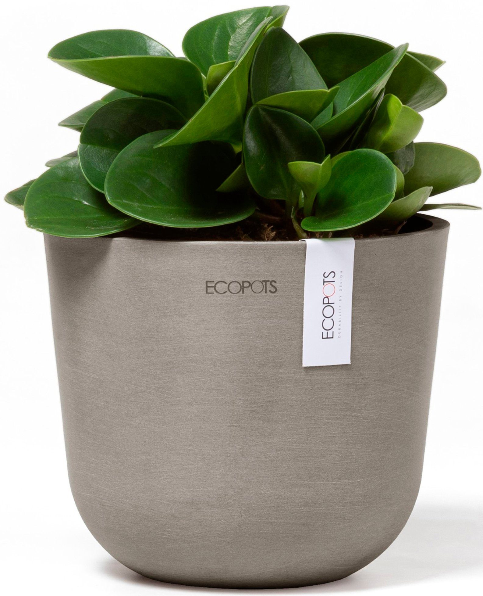 ECOPOTS Blumentopf Oslo Mini 16 Taupe, günstig online kaufen