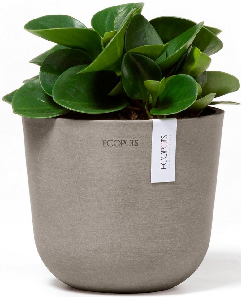 Thumbnail - ECOPOTS Blumentopf Oslo Mini 16 Taupe, für den Innenbereich