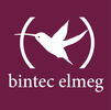 Bintec Elmeg