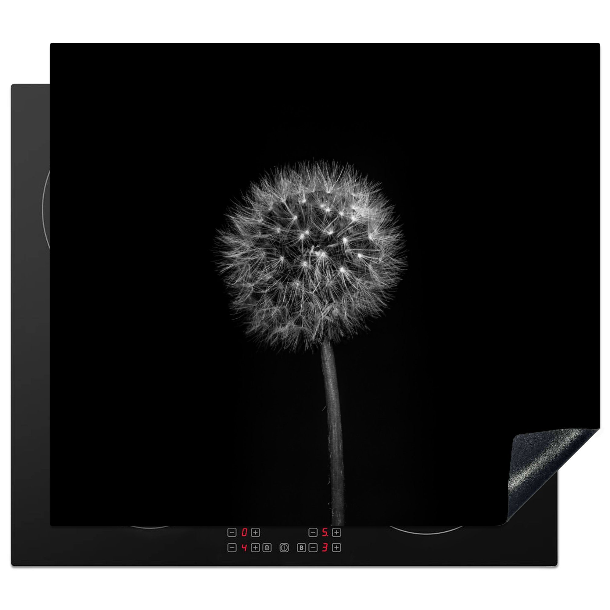 MuchoWow Herd-Abdeckplatte Löwenzahn - Schwarz - Floral - Botanisch, Vinyl, (1 tlg), Küche Herdabdeckplatte Ceranfeld Vinyl Einteilig, 59x52 cm