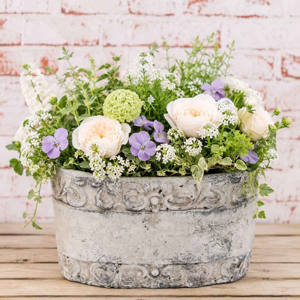 AltoBelli Blumentopf AltoBelli Blumentopf GARDA Oval Zement Antik Grau 35x19 cm