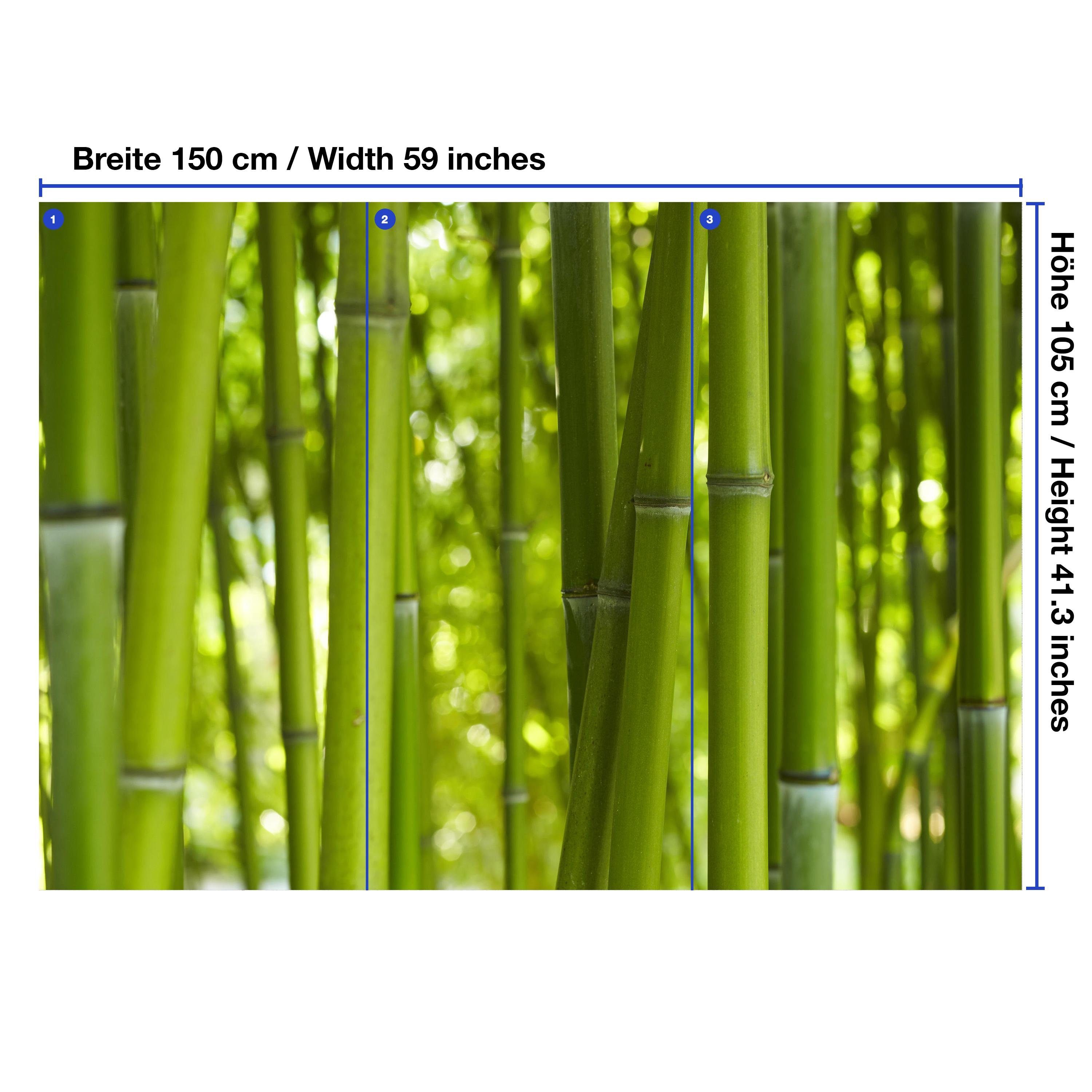 Bambuswald, Vliestapete wandmotiv24 Motivtapete, glatt, Bambus, matt, Wandtapete, Fototapete grüner