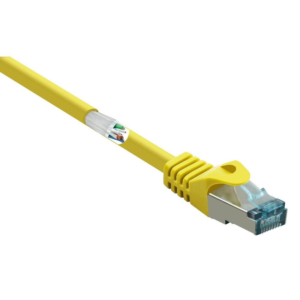 LAN-Kabel Netzwerkkabel m Renkforce CAT6A 5 S/FTP