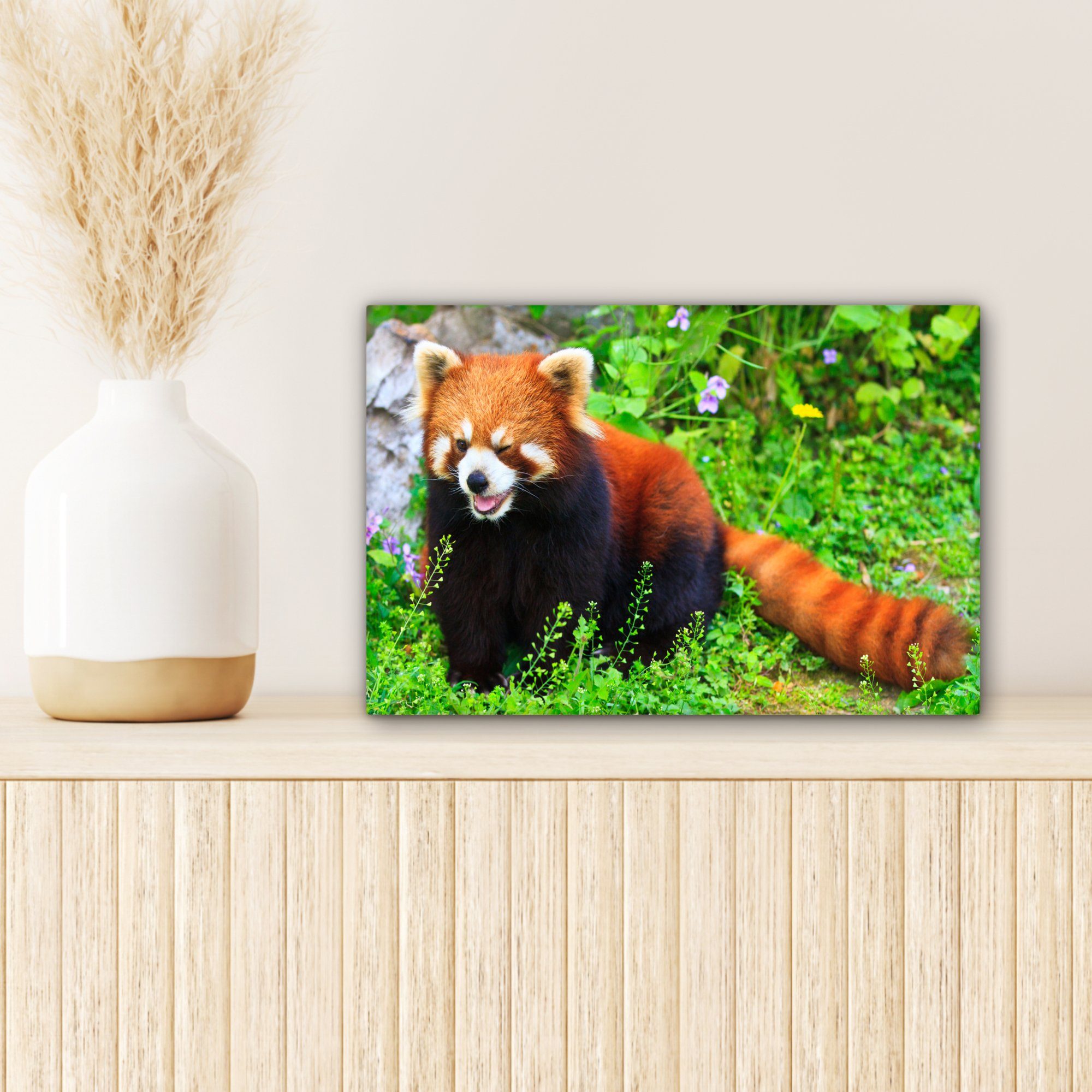 Aufhängefertig, Wanddeko, St), Panda Roter Leinwandbilder, 30x20 - Gras, Grün Leinwandbild (1 Wandbild cm OneMillionCanvasses® -
