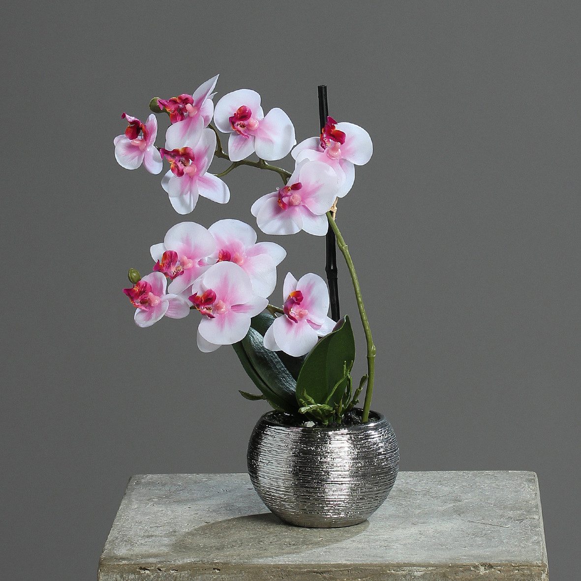 Kunstorchidee 30cm im Keramiktopf, Silber künstliche Orchidee Kunstpflanze Phalaenopsis, mucPlants