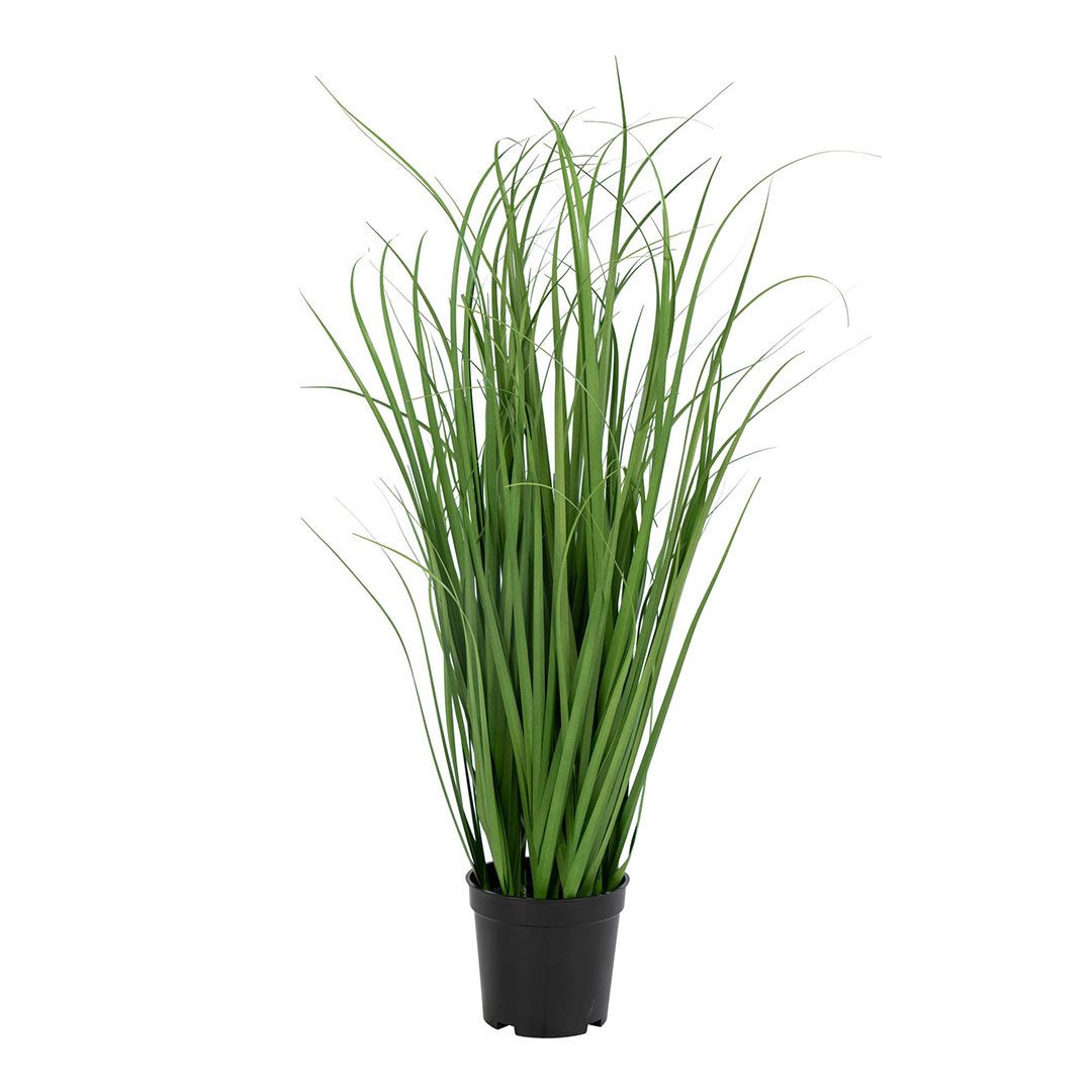 Kunstpflanze Græs Künstliches Poa Gras H68 cm grün., House Nordic, Höhe 68 cm