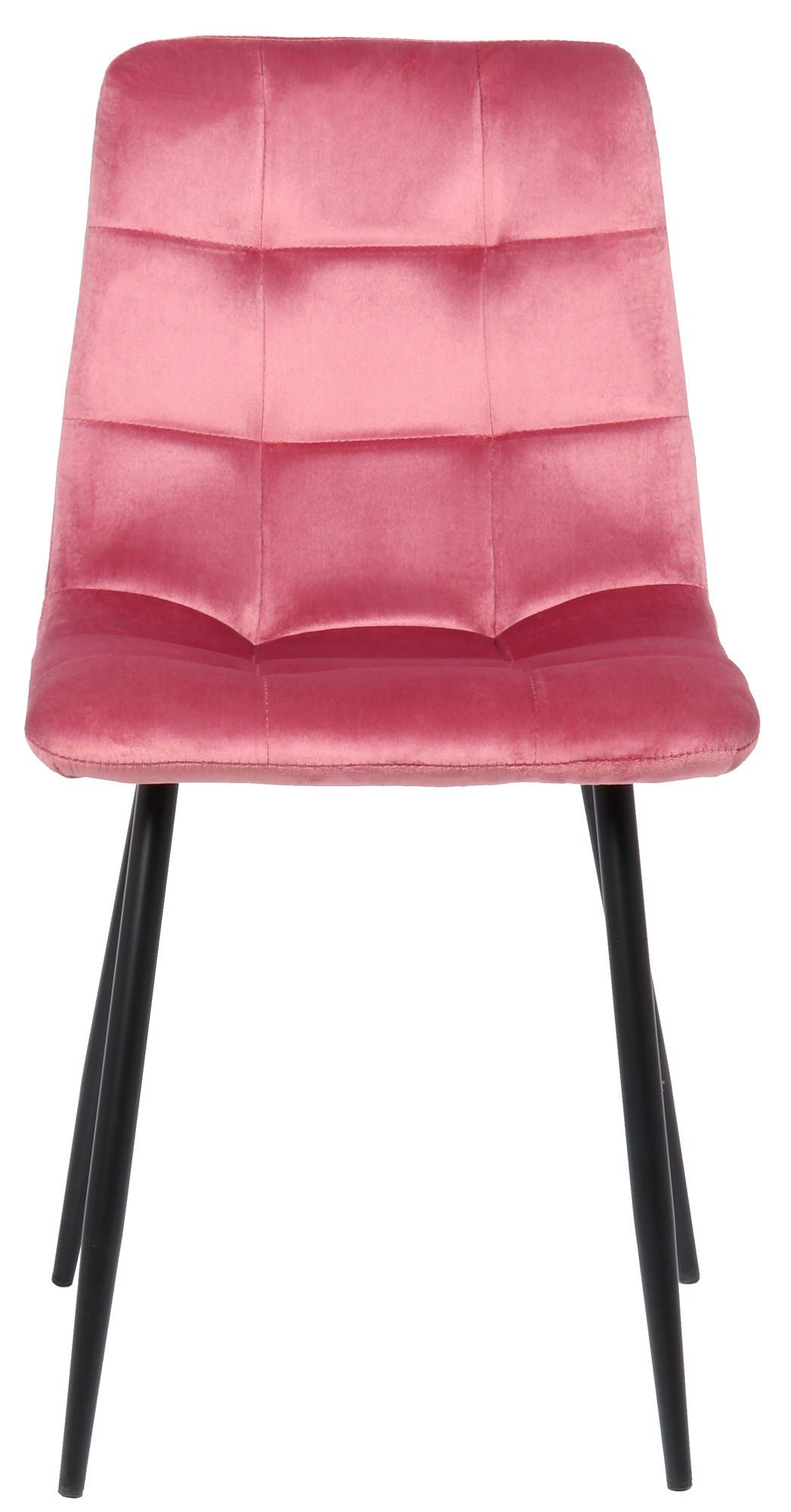 St), - Esszimmerstuhl schwarz Sitzfläche 2 hochwertig - - pink TPFLiving mit Sitzfläche: Till - Gestell: Metall Konferenzstuhl Esstischstuhl (Küchenstuhl - Samt Wohnzimmerstuhl Polsterstuhl, gepolsterter