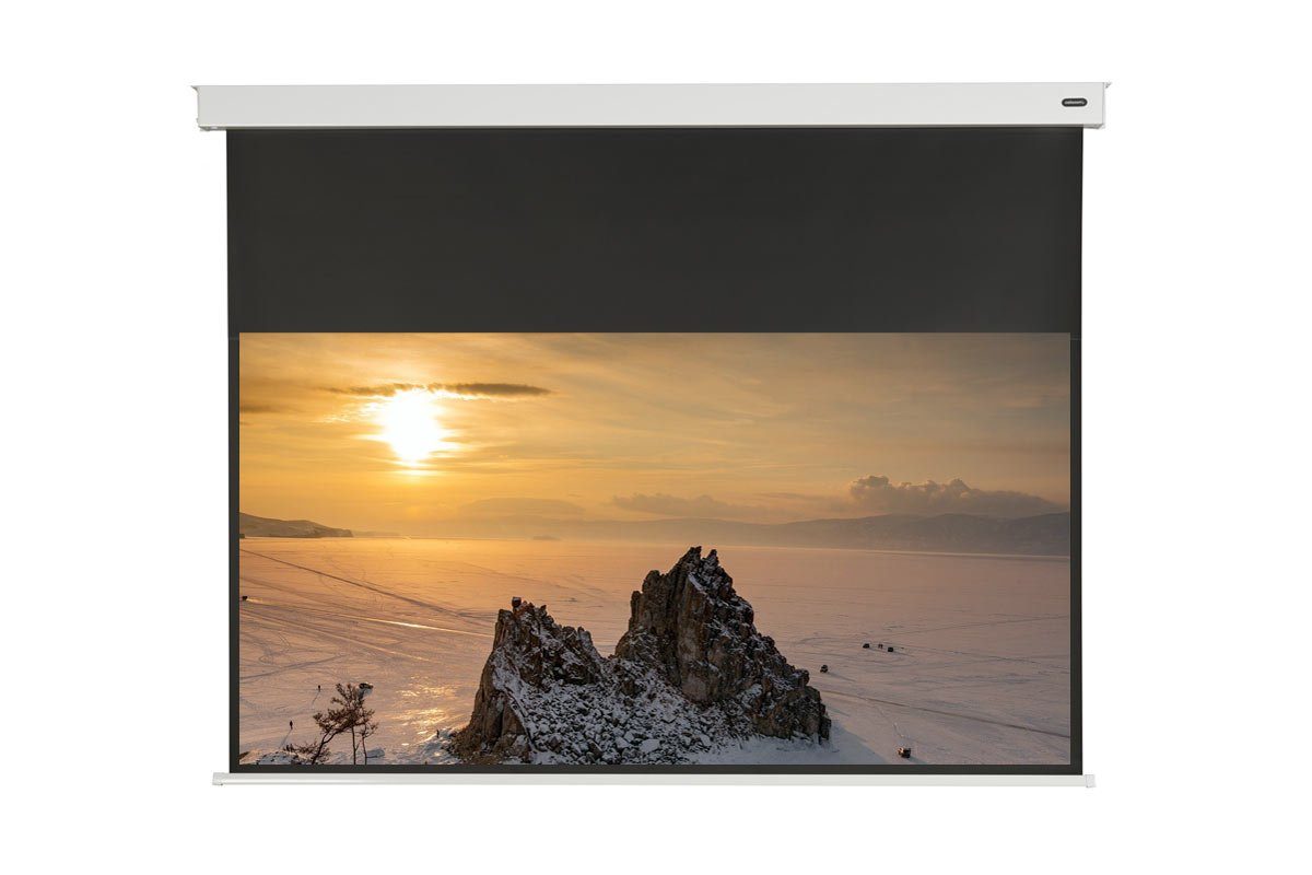 Celexon Professional Plus Motorleinwand (schwarze Rückseite)