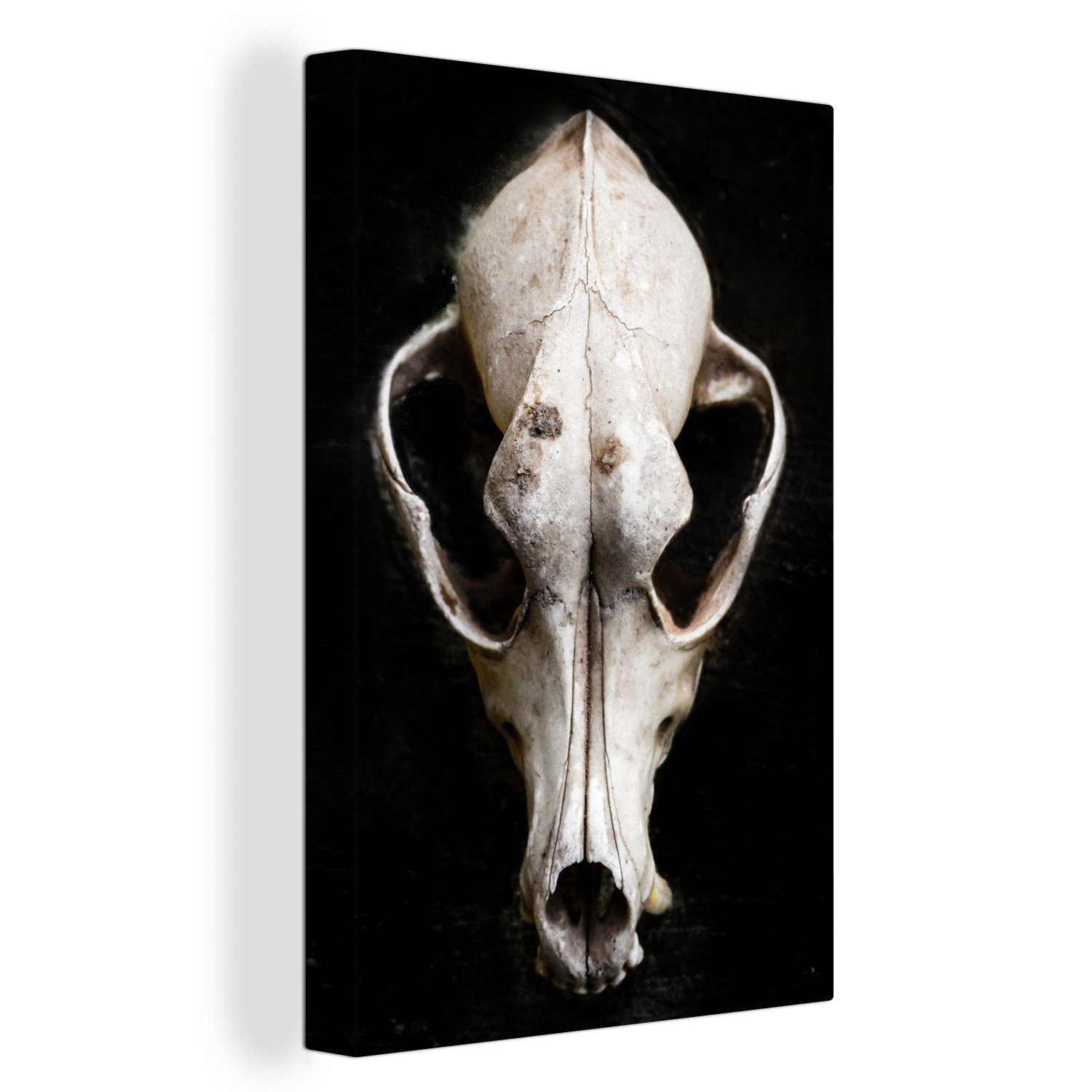 OneMillionCanvasses® Leinwandbild Totenkopf - Hund - Schwarz, (1 St), Leinwandbild fertig bespannt inkl. Zackenaufhänger, Gemälde, 20x30 cm