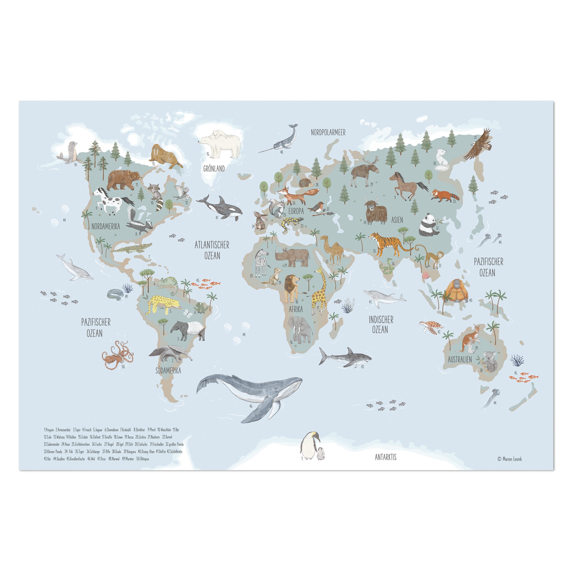 Designforlittleones Poster Poster Weltkarte mit Tieren günstig online kaufen