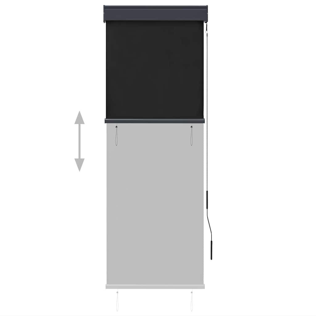 Rollo Außenrollo 60 x 250 cm Anthrazit, vidaXL