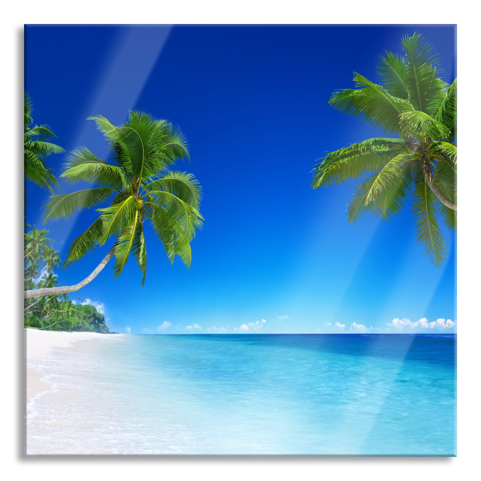 Glasbild Palmen über dem Meer