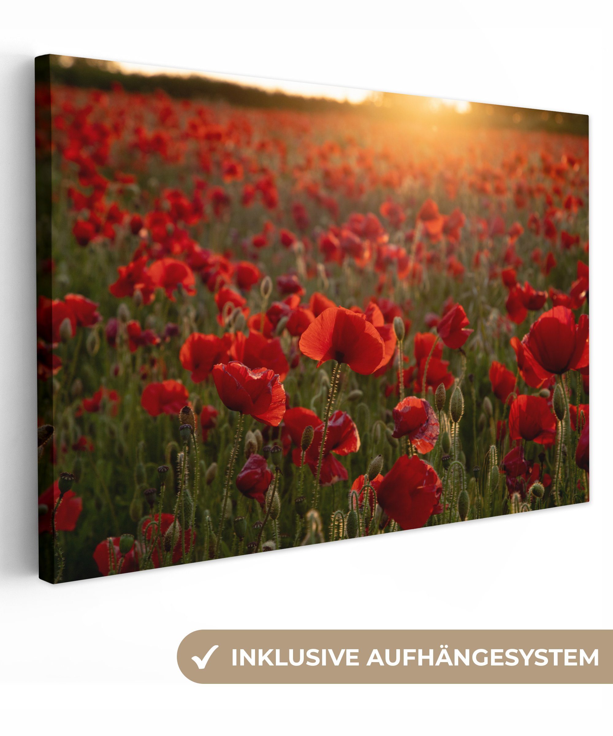 OneMillionCanvasses® Leinwandbild Blumen - Mohn - Rot, (1 St), Wandbild Leinwandbilder, Aufhängefertig, Wanddeko, 30x20 cm