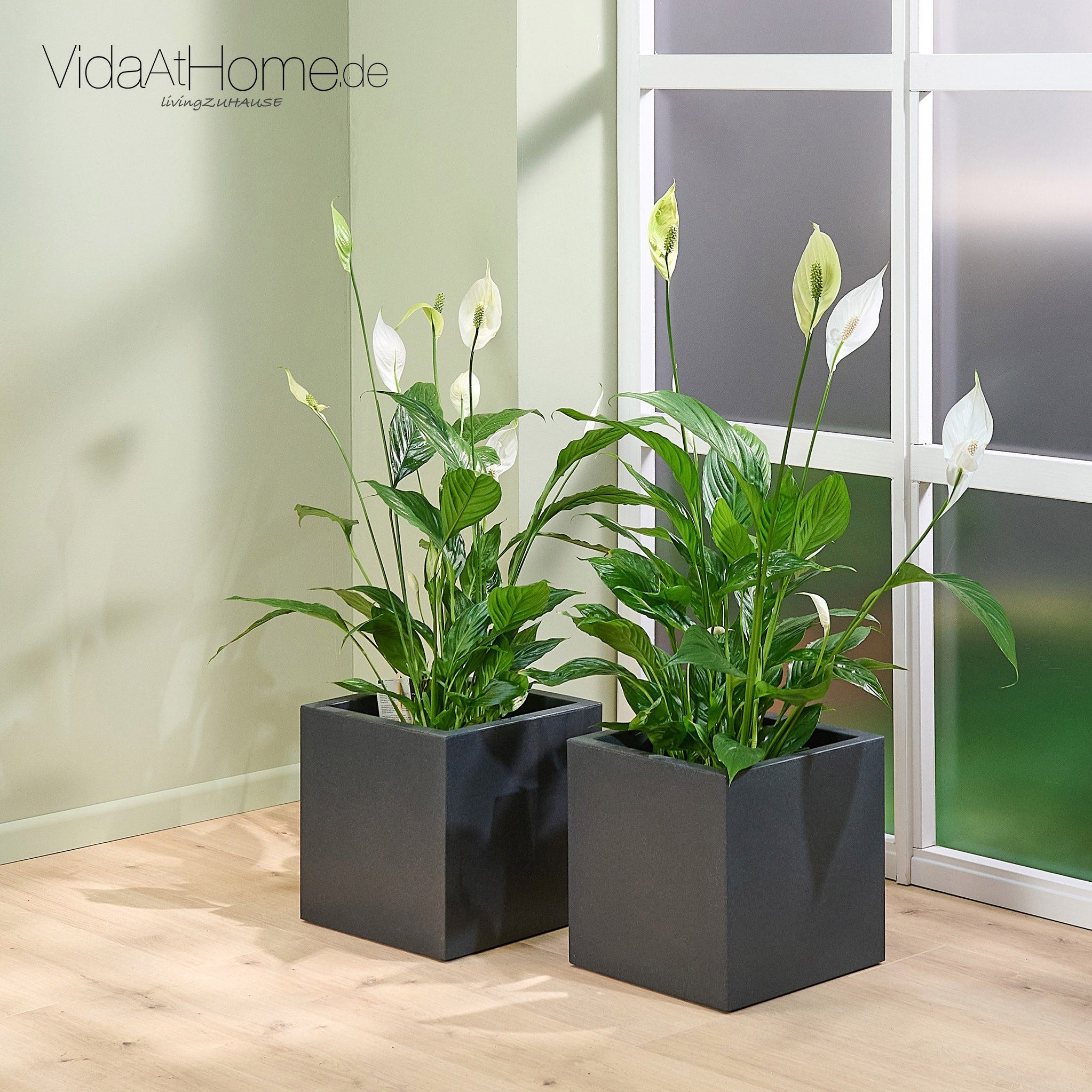 VidaAtHome.de Pflanzkübel Pflanzkübel QUBO 30 - 2er Set (Spar-Set, 2x Pflanzkübel QUBO 30), UV-beständig, frostfest, witterungsbeständig, aus Kunststoff – Bild 2 von 5